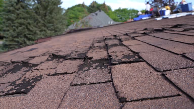 Best Roof Maintenance and Cleaning  in Fullerton, CA
